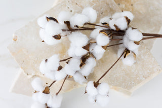 ivory and lace luxury candles fresh scents