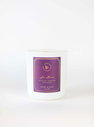 SEA BIRCH LUXURY CANDLE - Ivory & Lace
